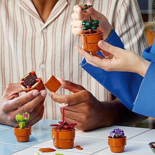 ��� ������� - ����� ������ 10329 Lego