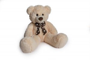 ���� ����� ���� ��� 95 �"� ��� ����