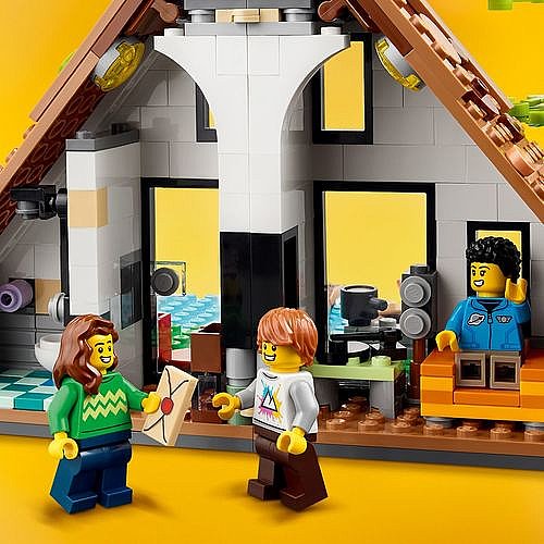 ��� ������� - ��� ���� ����� 31139 Lego