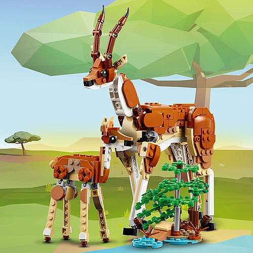 ��� ������� - ���� �� ������ 31150  - Lego