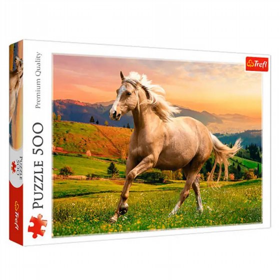 Trefl ���� 500 ����� ��� ��� �� ���� ����� 37396