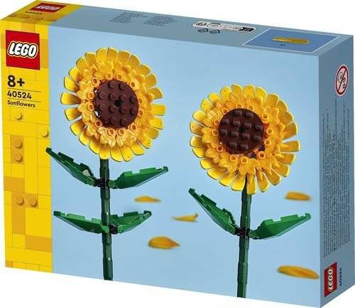 ��� ���� ����� 40524 Lego