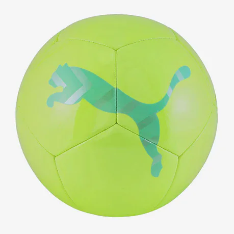 ���� ������  ���� ���� PUMA