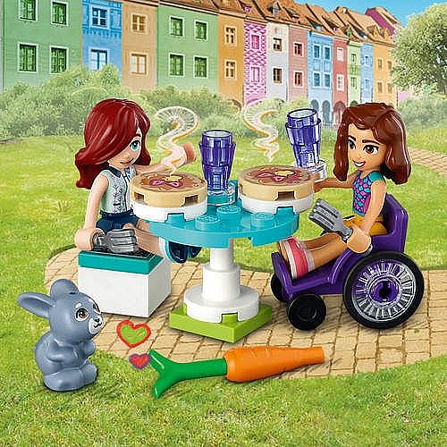 ��� �����  - ���� ������ 41753 Lego Friends
