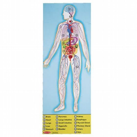 ����� ���� ��� ���� 100 ����� �������� �� ��� ����