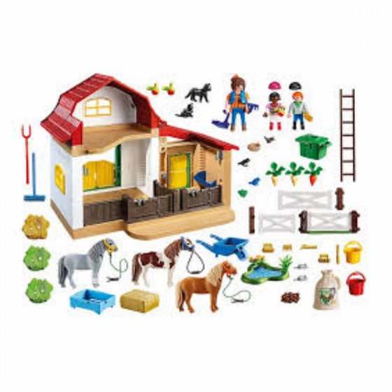 ��������� ���� ���� 5684 Playmobil