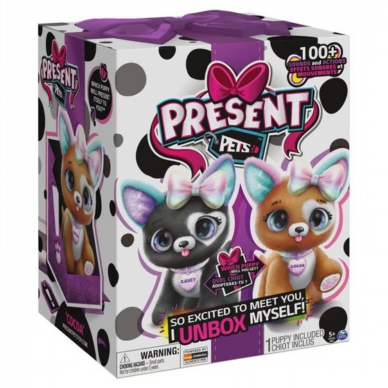���� ��� ������ ����������� ������ Present Pets