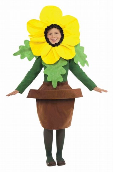 ������ ��� ����� �� ���� �����