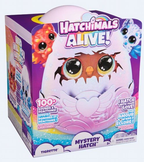������� �������� ���� ������ Hatchimals