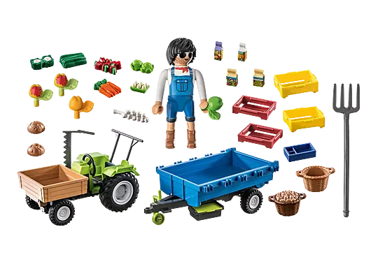 ��������� ���� ������ - ������ ���� 71249 Playmobil