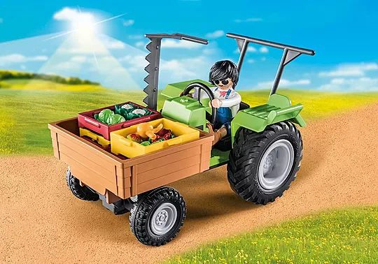 ��������� ���� ������ - ������ ���� 71249 Playmobil