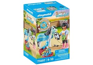 ��������� ���� ������ 71497 Playmobil