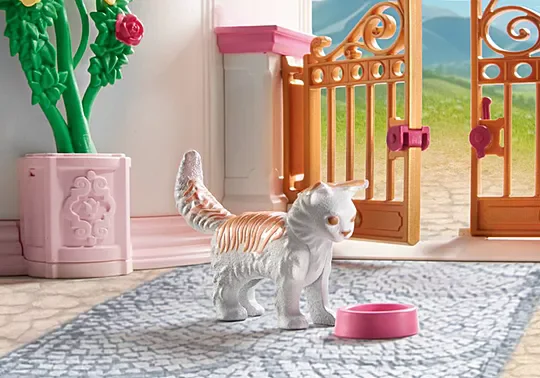 ��������� ������ ������ - ���� ������ �� ��� ������ 71845 Playmobil