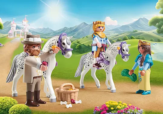 ��������� ������ ������ ����� �������� 71846 Playmobil