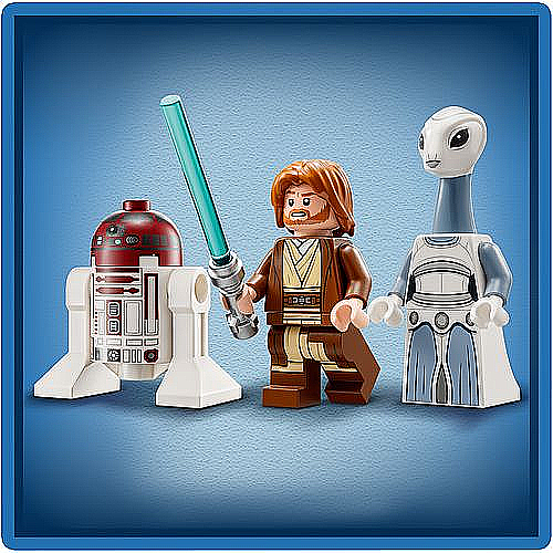 ��� ������ ������� ���� ��������� 75333 Lego