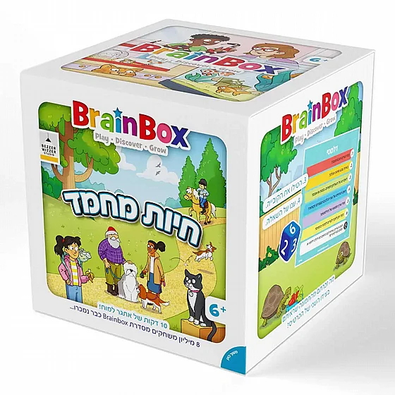 �� ������  ���� ���� BrainBox