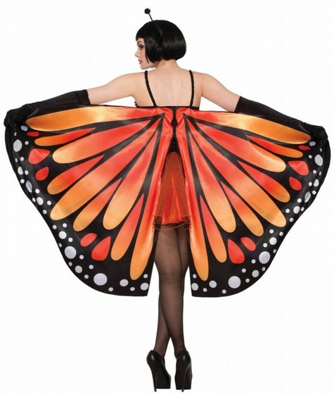 ������ ���� ���� ����� ����/����� ���� �����