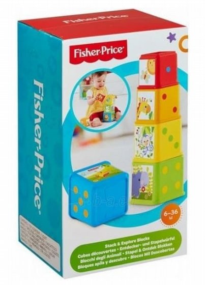 FISHER PRICE ���� ����� ���� ����� �����