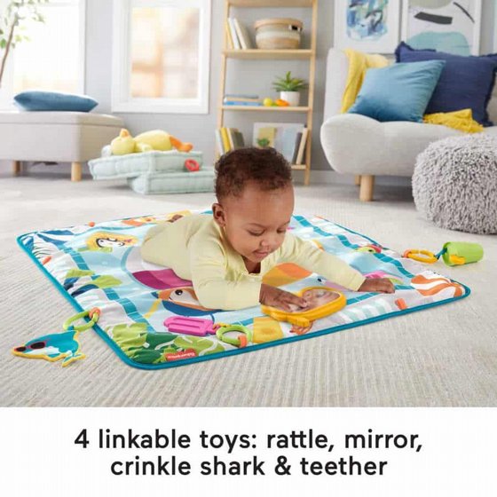 ���� ����� ���� ������ ������ Fisher Price GRP44