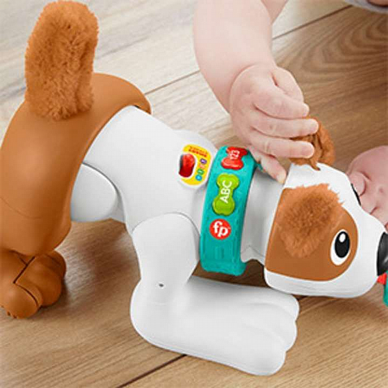 ���� ����� ������ ����� ���� ���� ����� Fisher Price