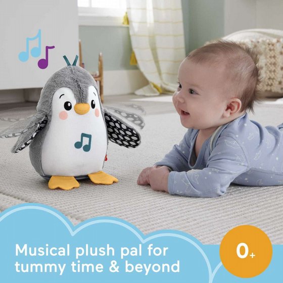 ���� ����� ���� �������� �������� �� ����� ����� Fisher Price