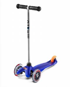 ������� ���� ����� ����