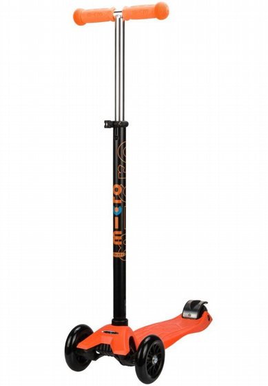 ������� ���� ����� ����