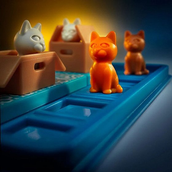 ���� ������ �������� FOXMIND