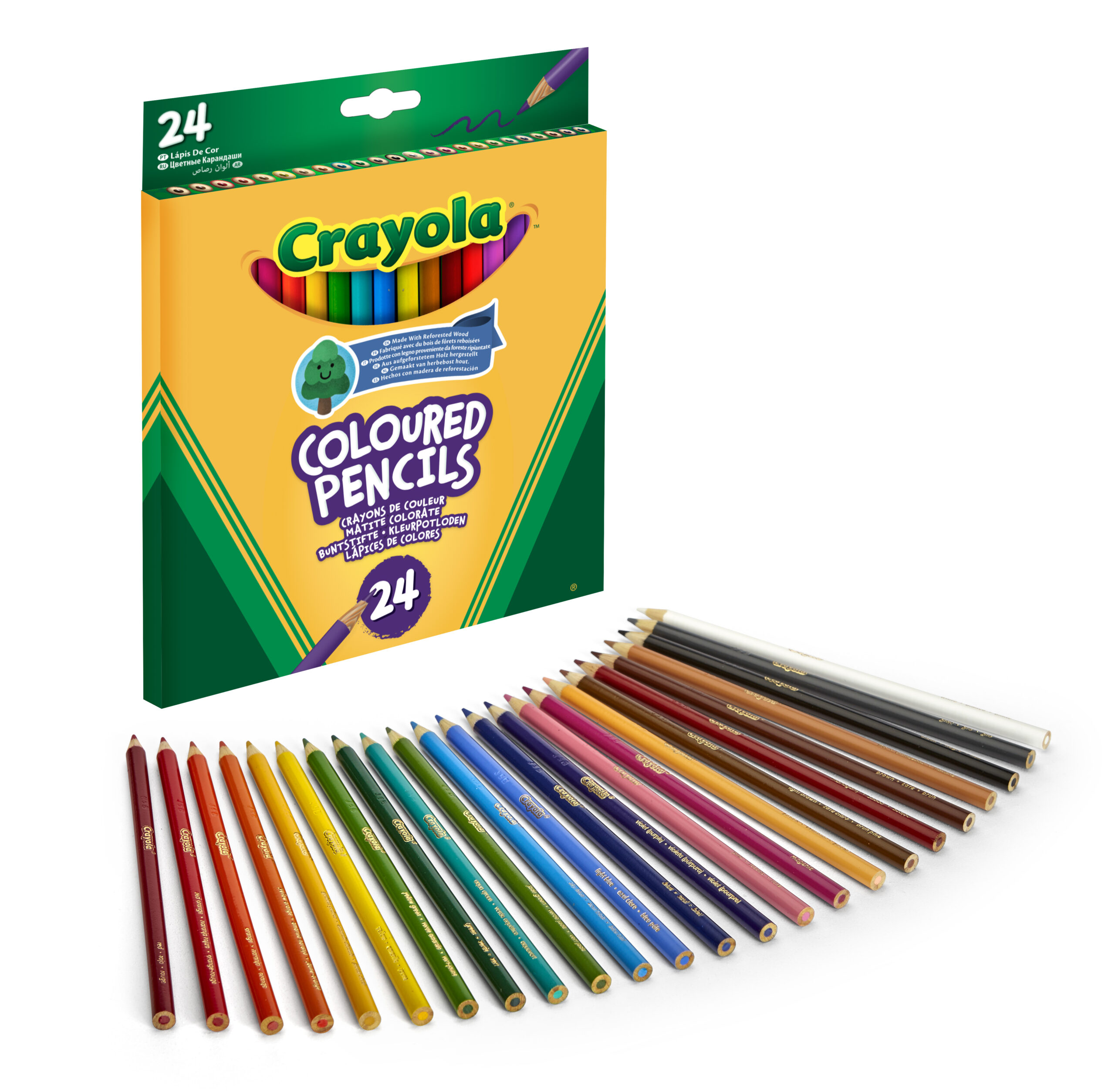 Crayola קריולה עפרונות צבעוניים 24 יחידות